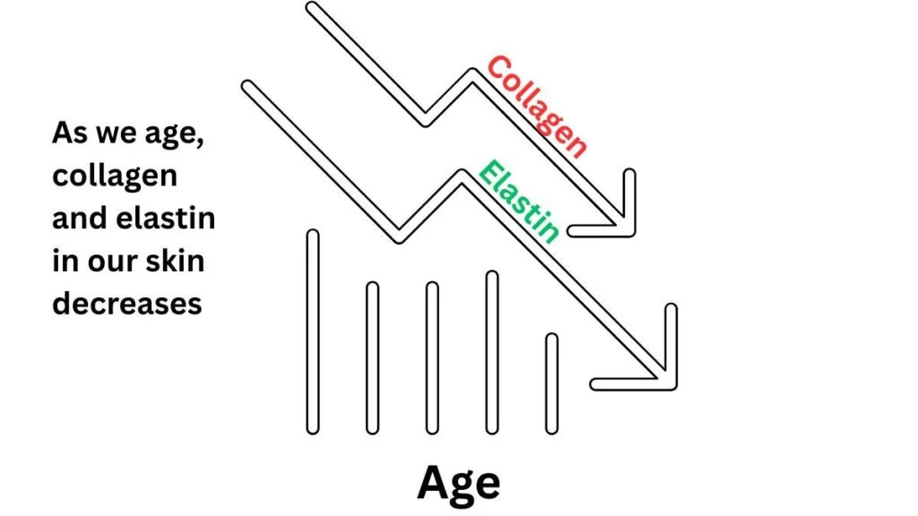 Graph showing the decline of elastin and collagen as we age. Skinboosters in our Colchester Clinic help to slow and reverse this decline.