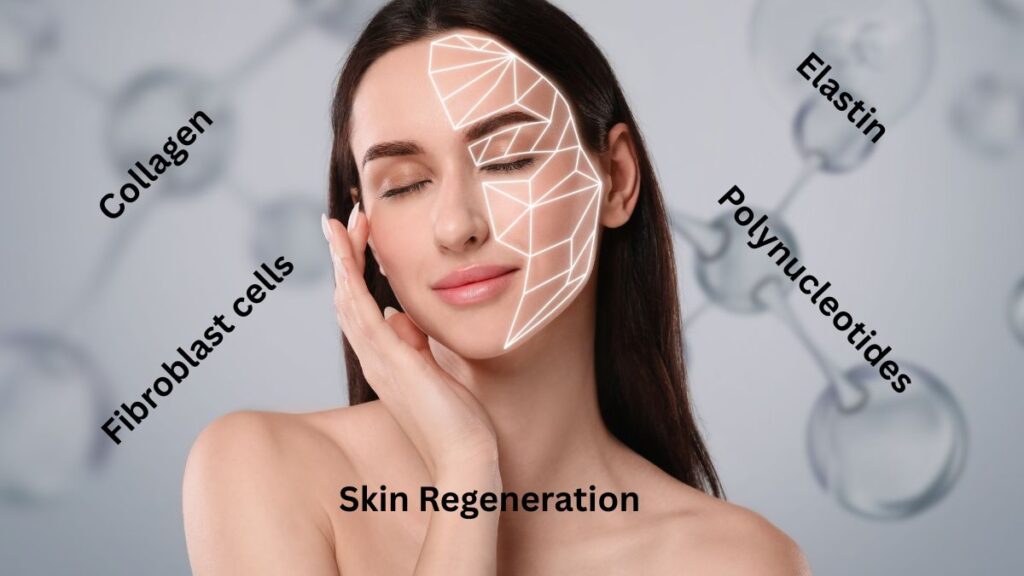 Polynucleotides Skin Booster in Colchester used for a skin regeneration treatment at Bespoke Medical Aesthetics