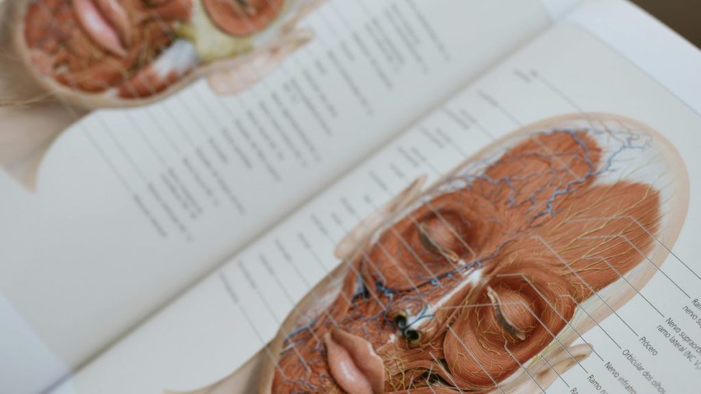 Doctor-led anti-wrinkles injectable treatments for natural looking results at Bespoke Medical Aesthetics