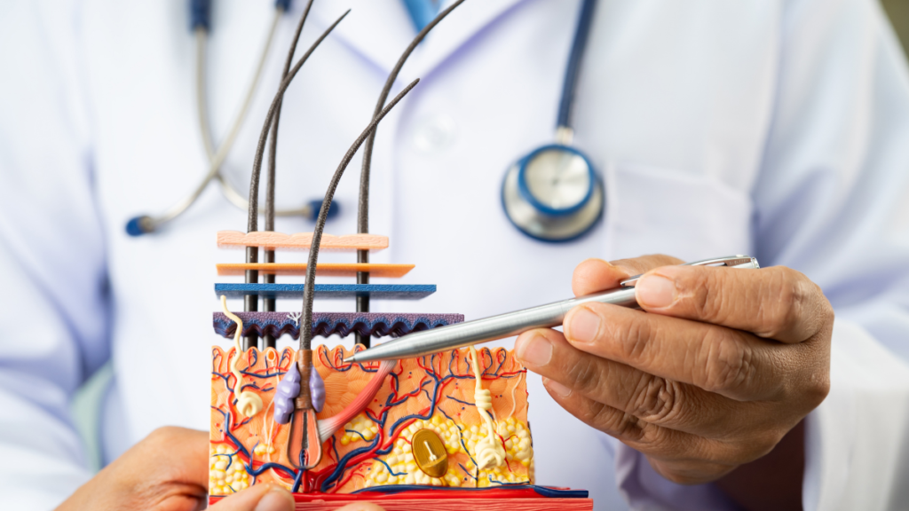 Understanding profhilo vs profhilo structura and how they are different but can also compliment each other as educated at doctor-led clinic, bespoke medical aesthetics in colchester