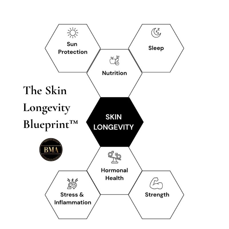 Diagram showing the six pillars of skin longevity at Bespoke Medical Aesthetics in Colchester